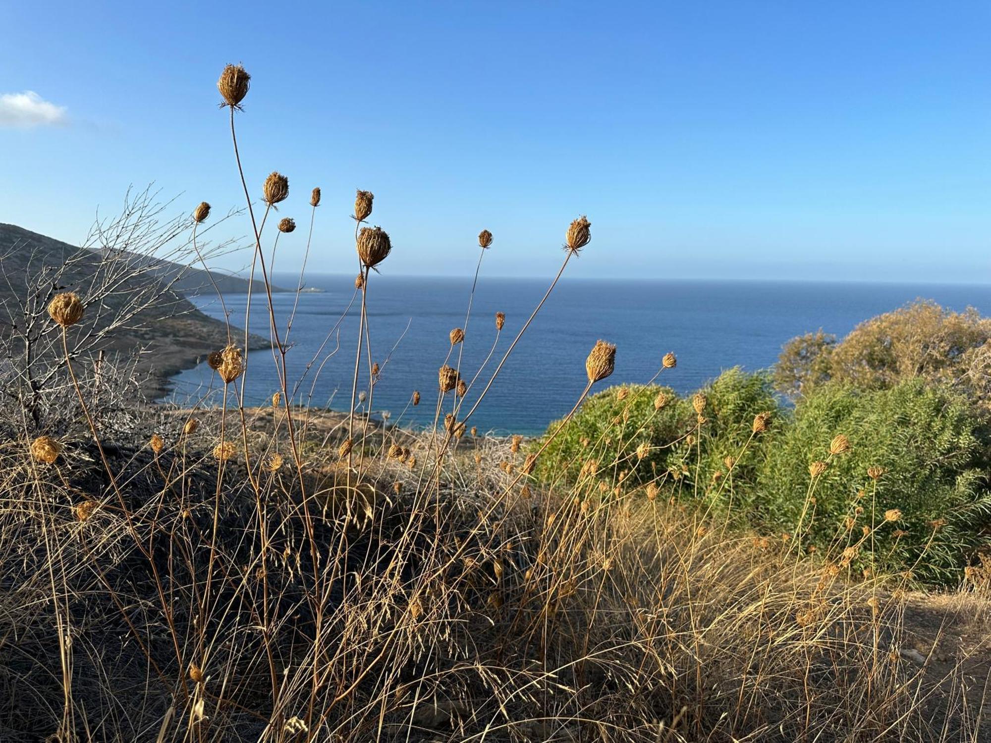 Maison Meltem Agia Pelagia  Esterno foto