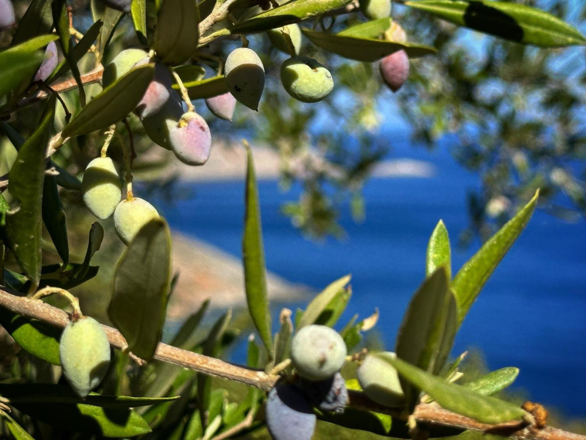 Maison Meltem Agia Pelagia  Esterno foto